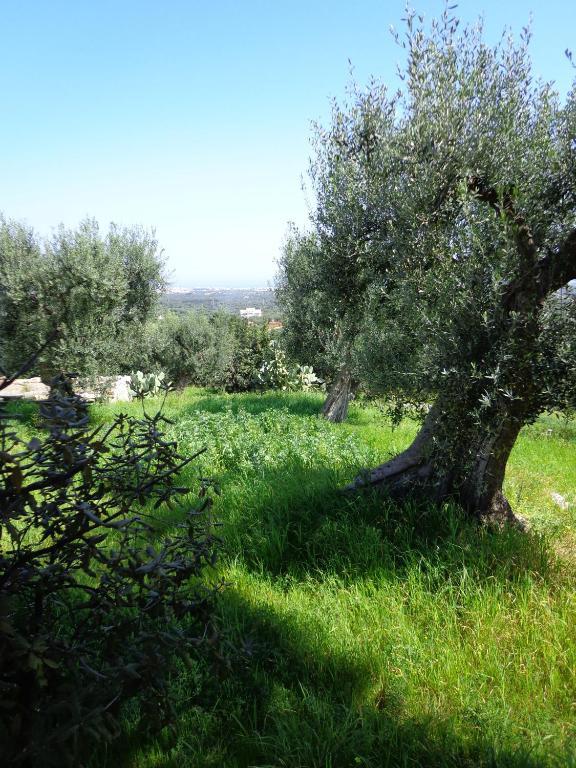 Panoramica Monopoli