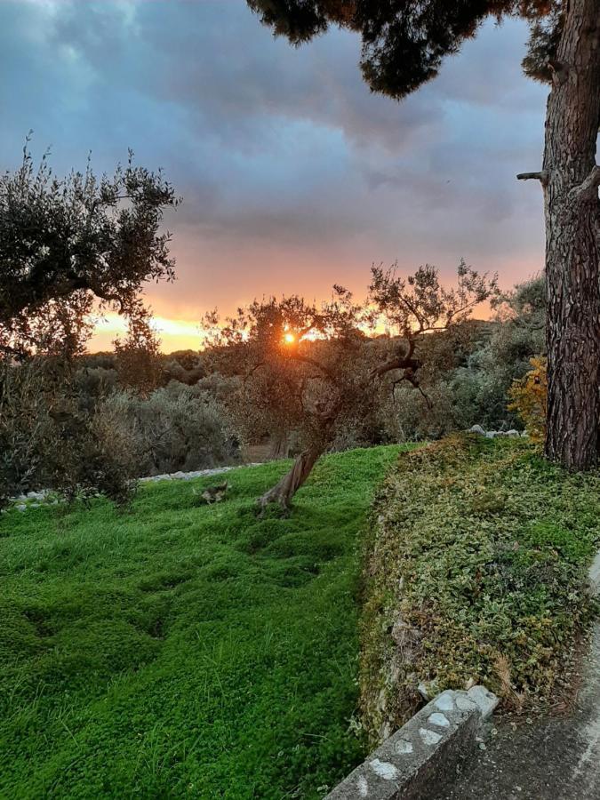 Alla Panoramica * Monopoli