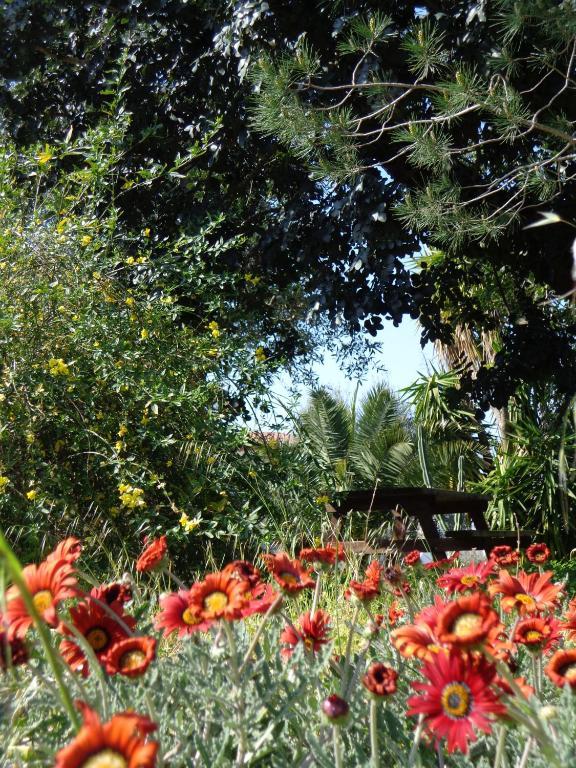 Alla Panoramica Guest house
