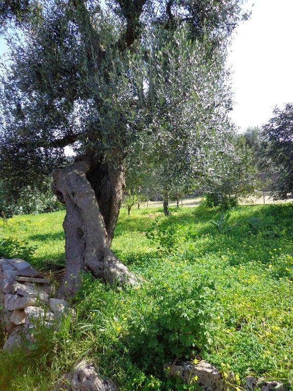 Alla Panoramica * Monopoli
