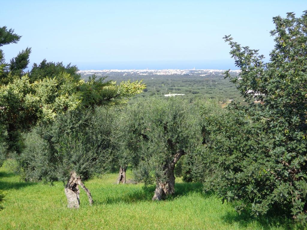 Alla Panoramica Guest house *
