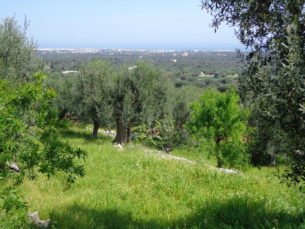 Guest house Alla Panoramica *